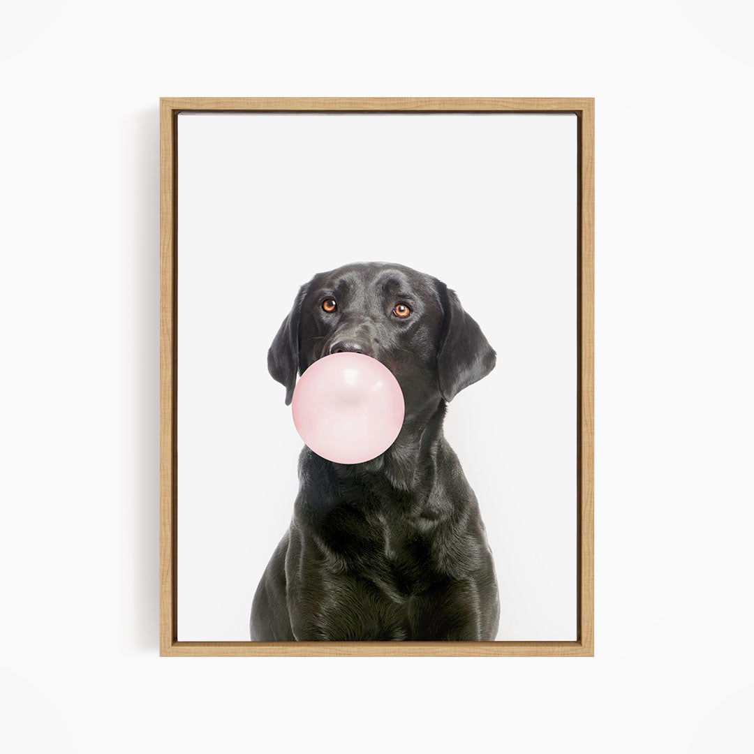 A black dog is blowing a pink bubble with its mouth, creating a playful and adorable scene.