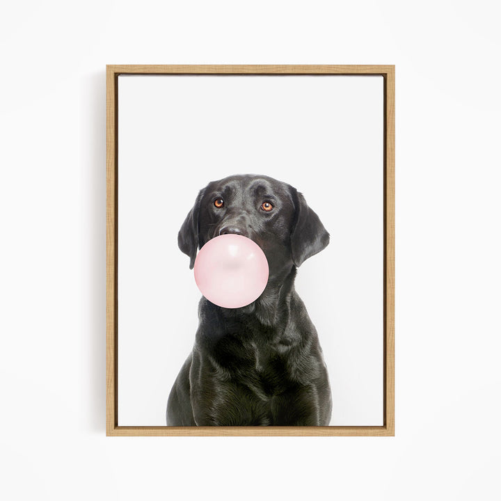 A black dog is blowing a pink bubble with its mouth, creating a playful and adorable scene.