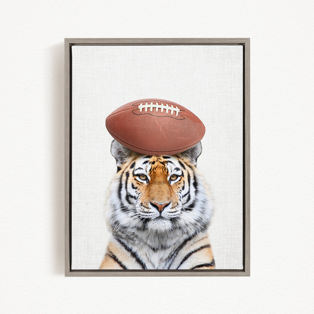 A tiger with a football resting on its head, looking directly at the camera.