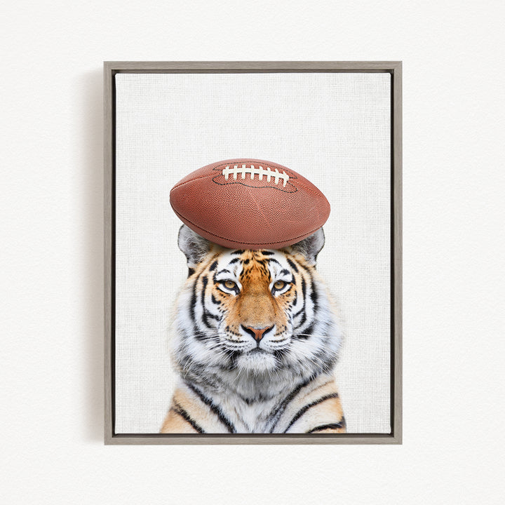 A tiger with a football resting on its head, looking directly at the camera.