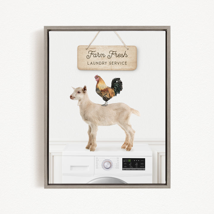 A framed image depicting a goat standing on top of a washing machine, with a rooster perched on its back. The sign above the washing machine reads "Farm Fresh Laundry Service".