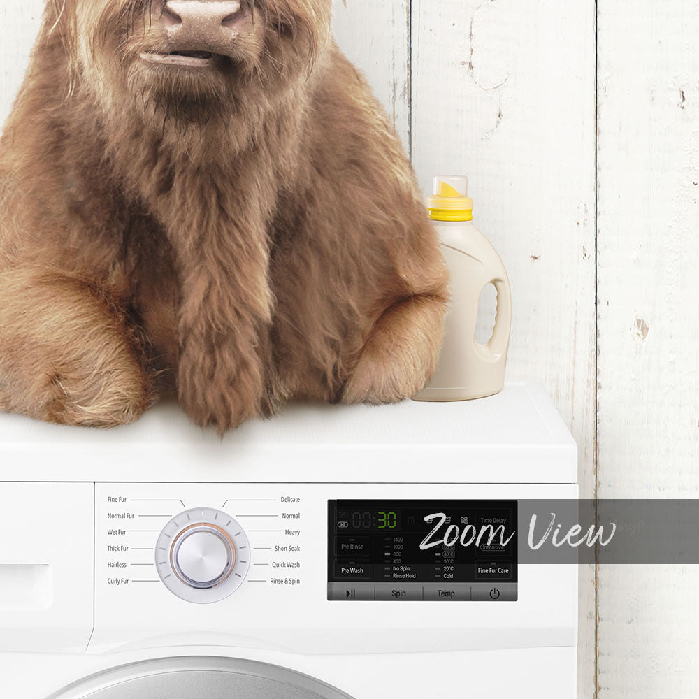 A large brown dog is sitting on top of a white washing machine, with a bottle of detergent next to it.