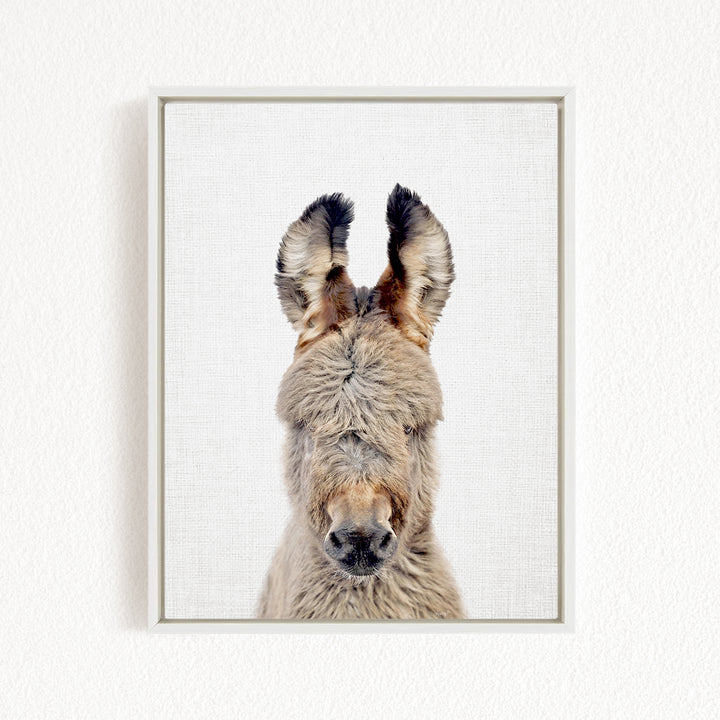 A close-up portrait of a donkey with its head turned to the camera, showing its long, fluffy fur and expressive eyes.