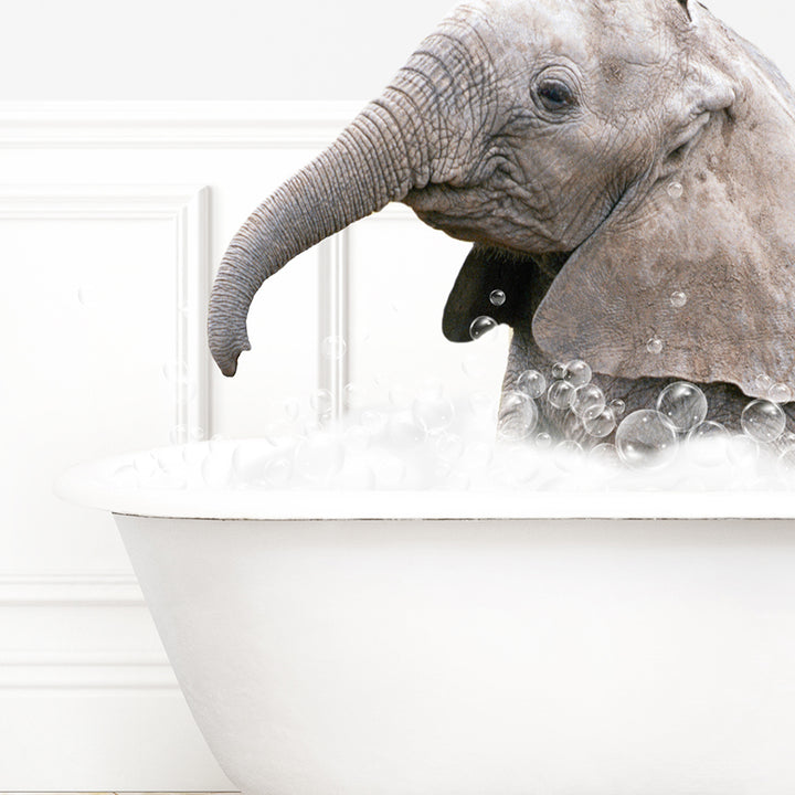 an elephant in a bath tub with bubbles