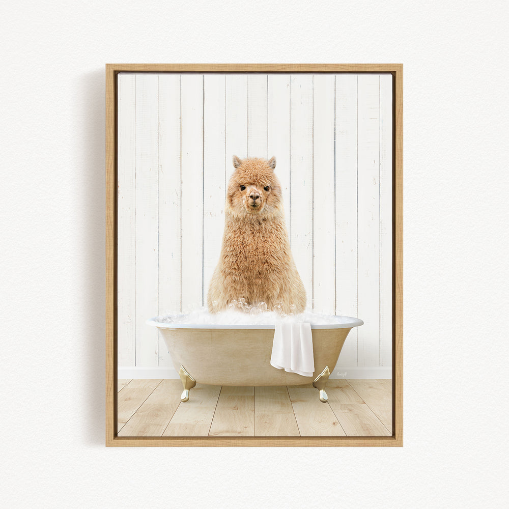 A fluffy brown dog sitting in a white bathtub filled with bubbles, looking directly at the camera.