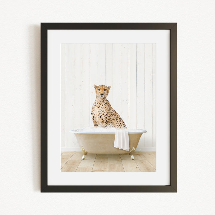 A cheetah sitting in a bathtub filled with water, with a white towel draped over its back.