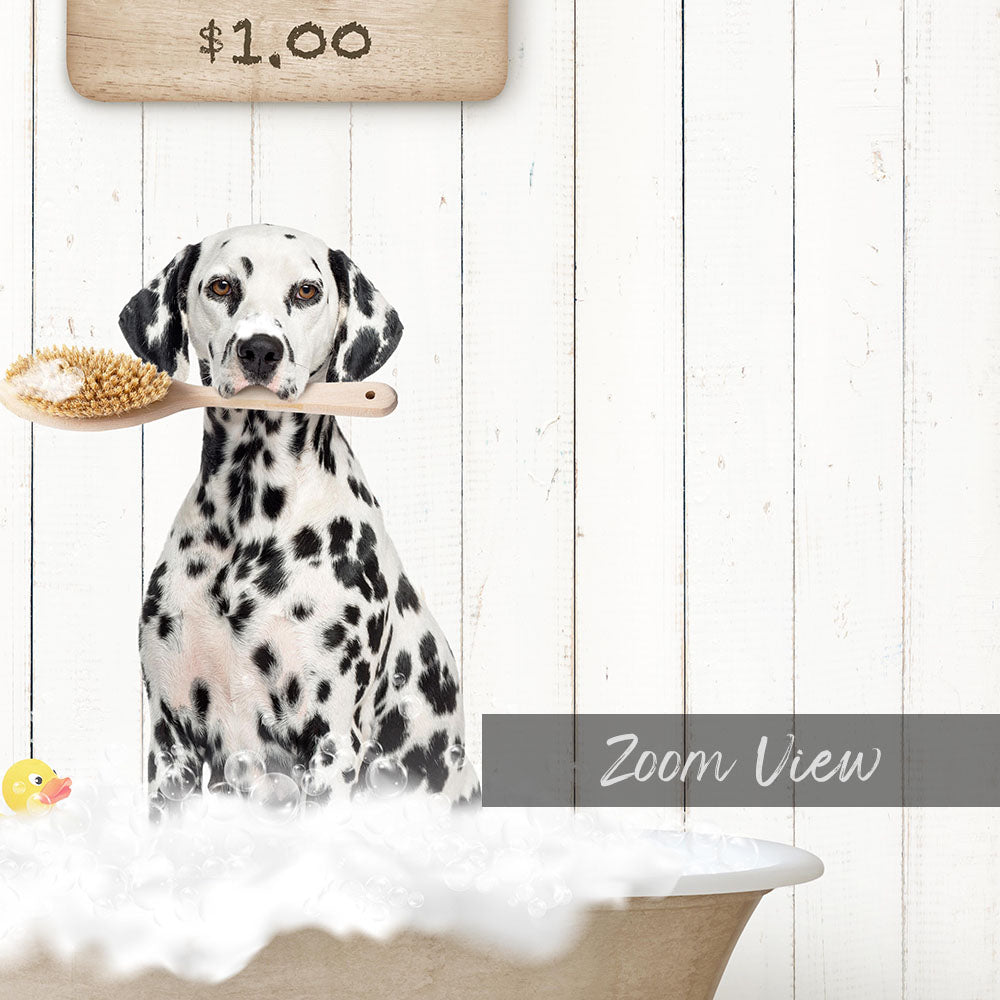 A Dalmatian dog is sitting in a bathtub, holding a wooden brush in its mouth, with a sign above the dog that says "$1.00".