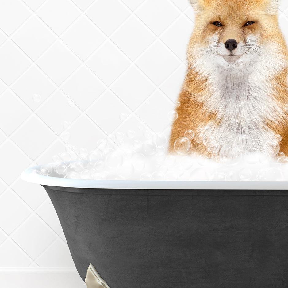 a fox sitting in a bathtub full of foam