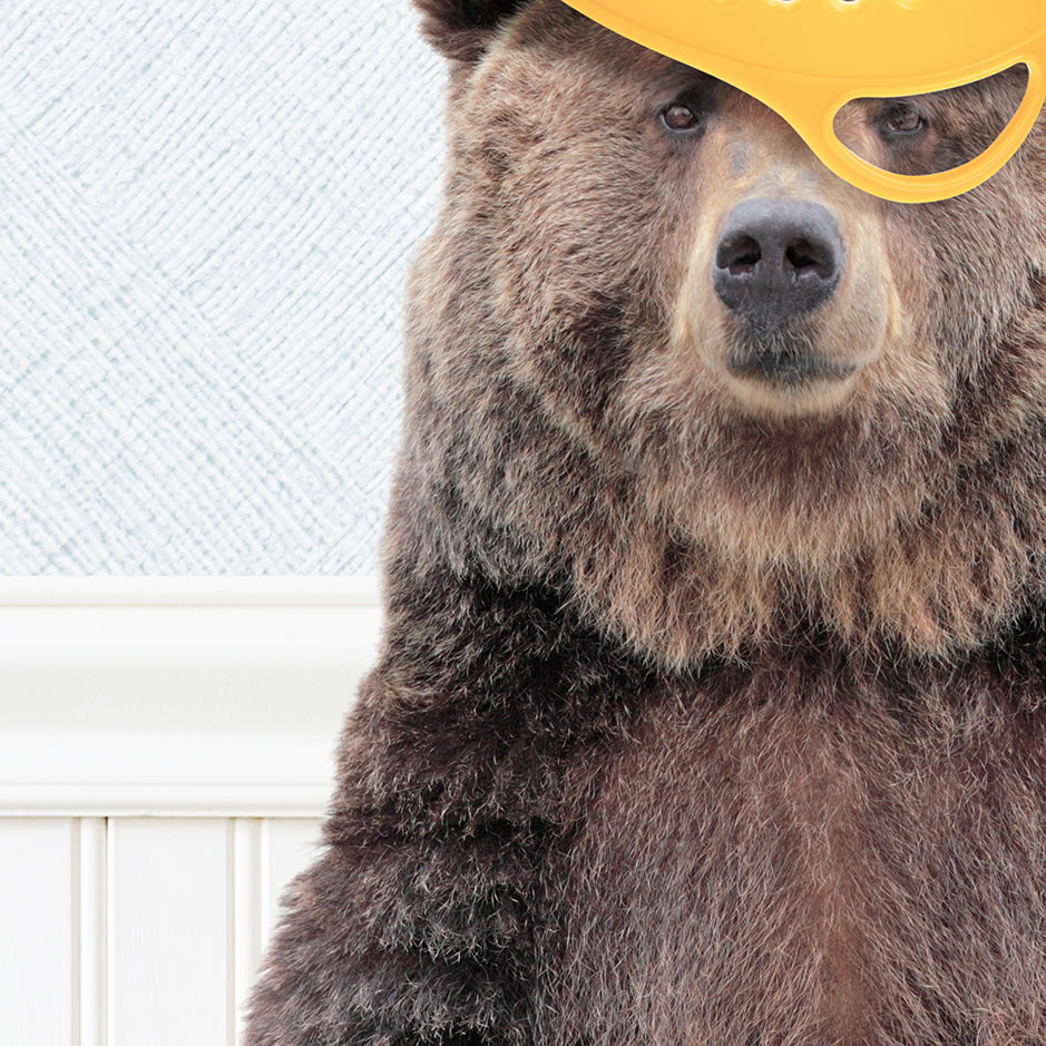 Bear - I'm a Basket Case - Cottage Blue Wall