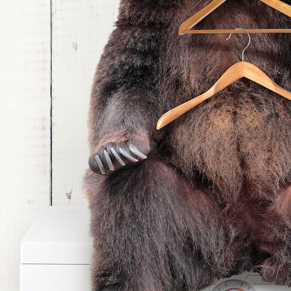 Bear Wearing Clothes Hangers on Washing Machine - Farmhouse Wall