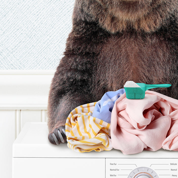 Bear and Snowshoe Hare Doing Laundry - Cottage Blue Wall