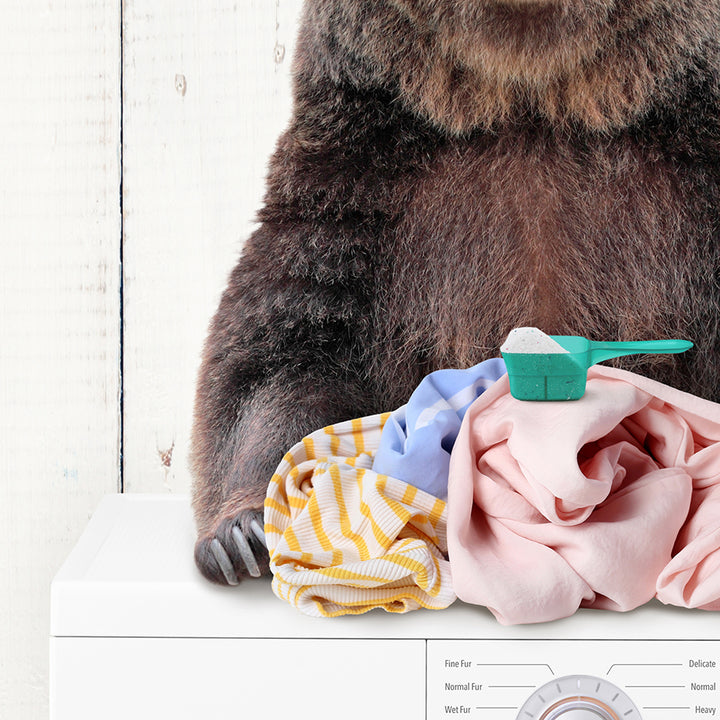 Bear and Snowshoe Hare Doing Laundry - Farmhouse Wall