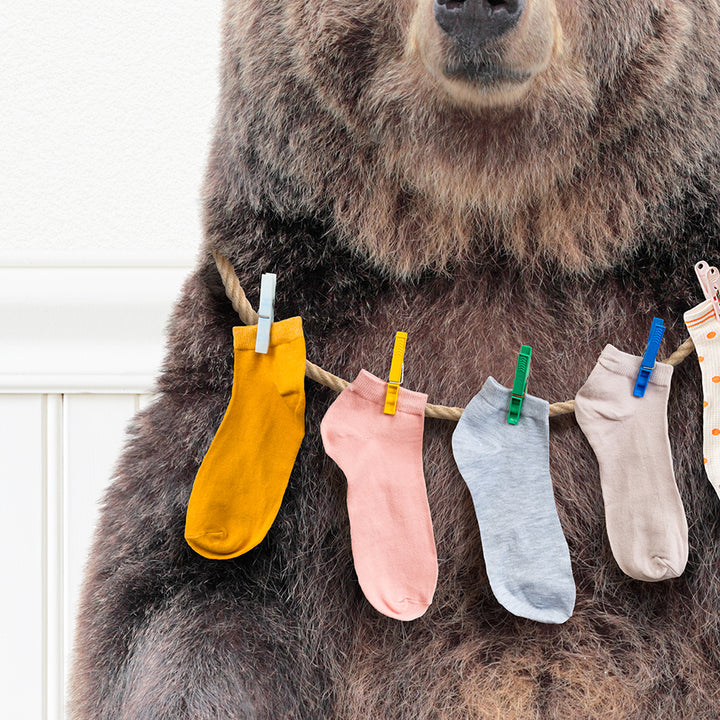 Bear - Finders Keepers Lost Laundry Socks