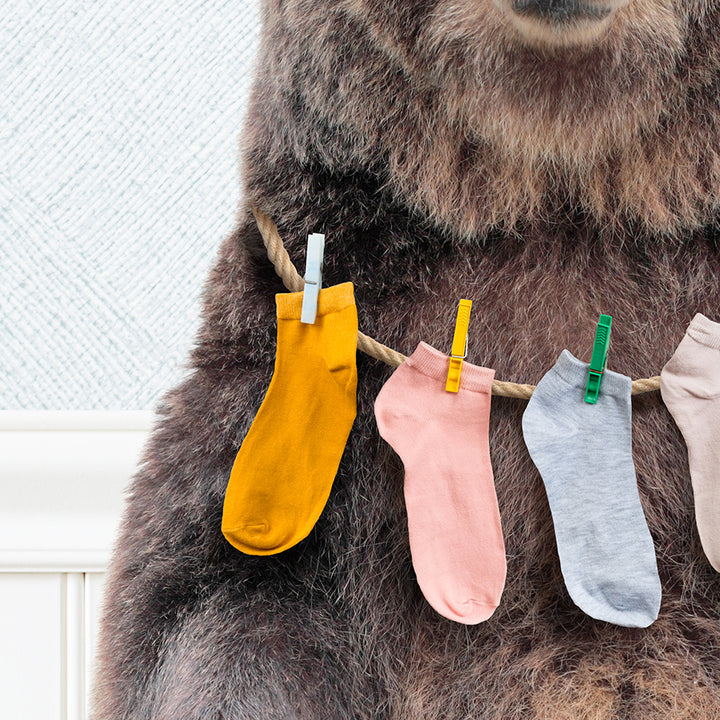 Bear - Lost Socks - Cottage Blue Wall
