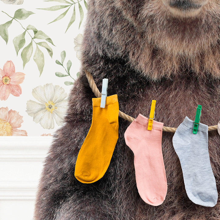 Bear - Lost Socks - Assorted Wallpapers