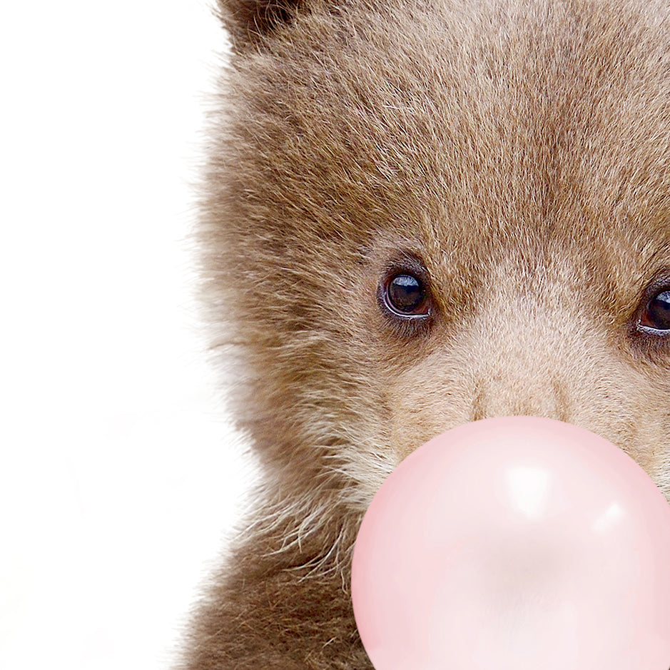 Baby Bear Cub Blowing Pink Bubble Gum