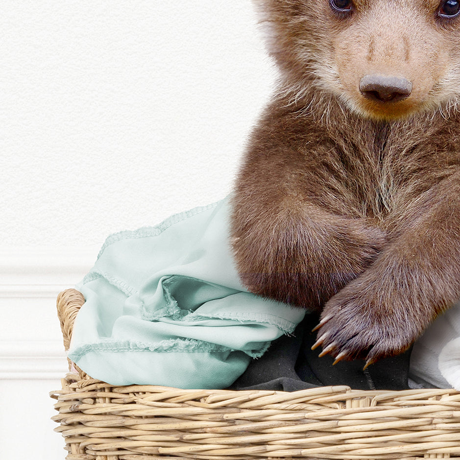 Baby Bear in Laundry Basket - Simple White Wall