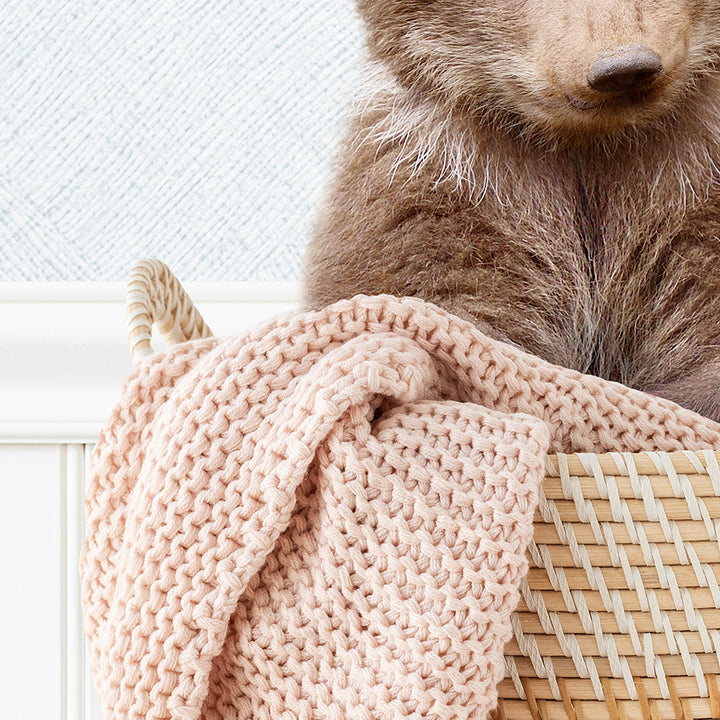 Bear Cub in Laundry Basket - Cottage Blue Wall