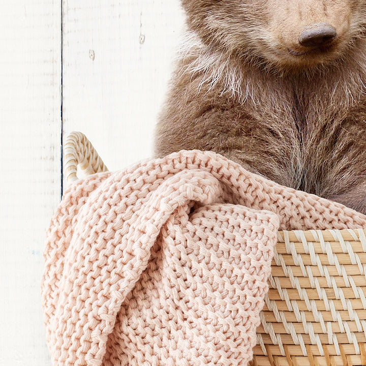 Bear Cub in Laundry Basket - Farmhouse Wall