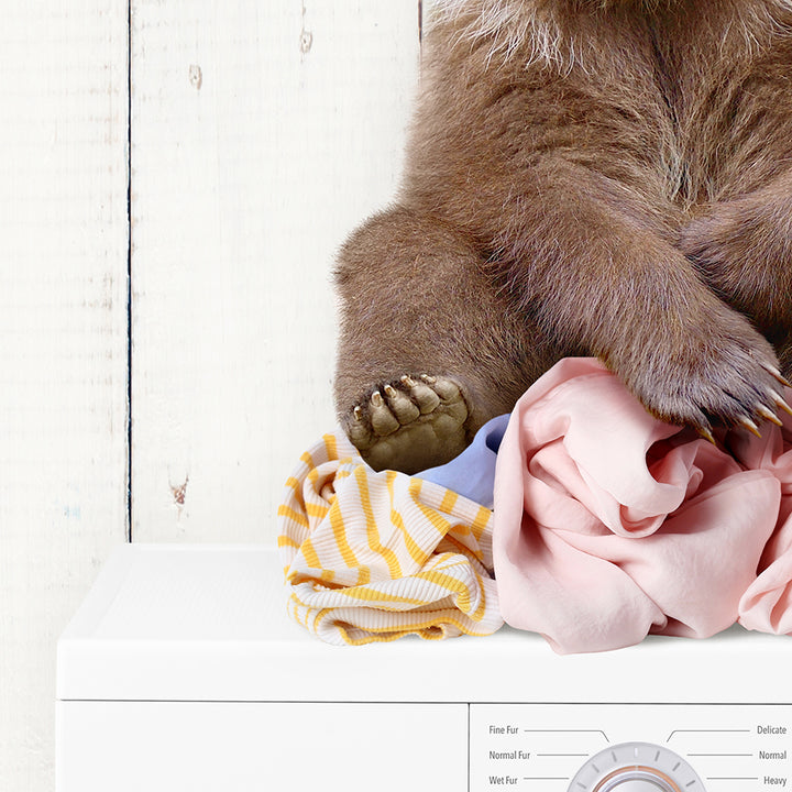 Bear Cub on Laundry Clothes Pile On Washing Machine - Farmhouse Wall