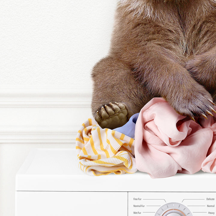 Bear Cub on Laundry Clothes Pile On Washing Machine - Simple White Wall