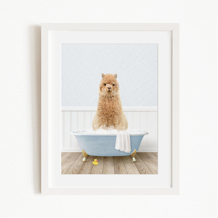 A fluffy brown dog sitting in a blue bathtub filled with water, surrounded by yellow rubber duckies.