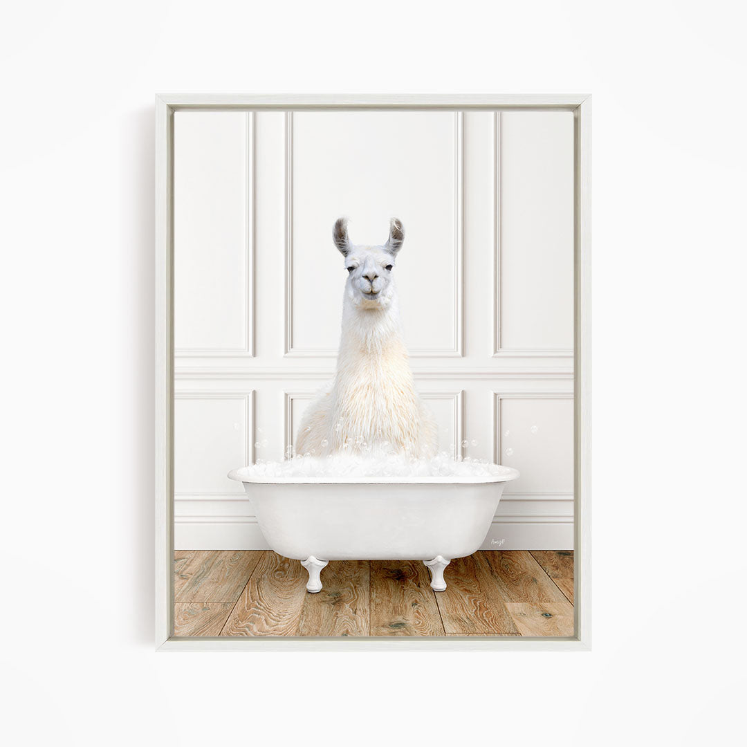 A white llama sitting in a white bathtub filled with bubbles, creating a whimsical and playful scene.