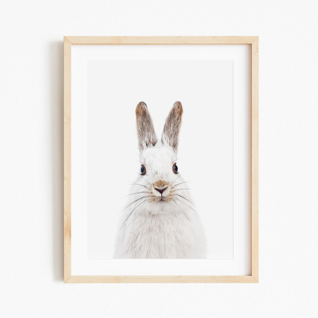 a picture of a white rabbit in a wooden frame