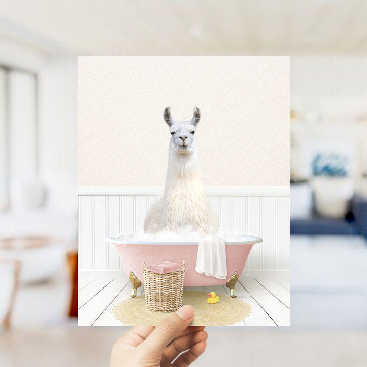 A white llama sitting in a pink bathtub filled with bubbles, with a yellow rubber duck nearby.