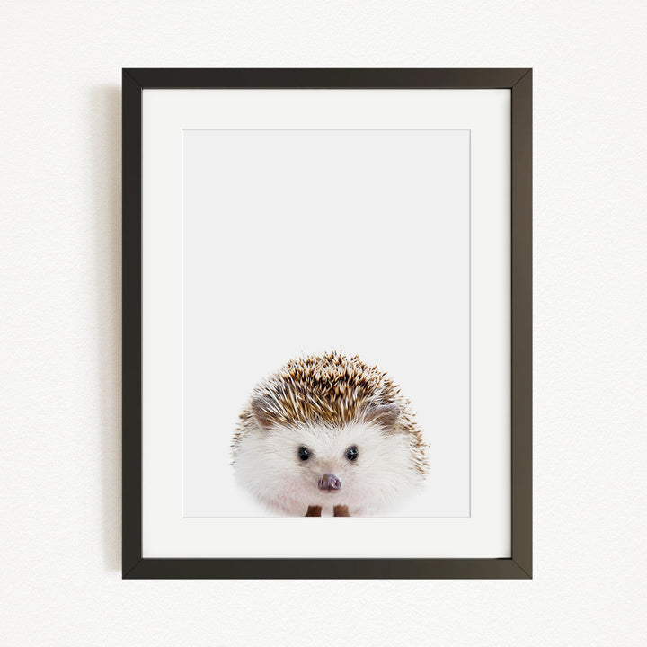 A framed image of a cute hedgehog peeking out from behind a white background.