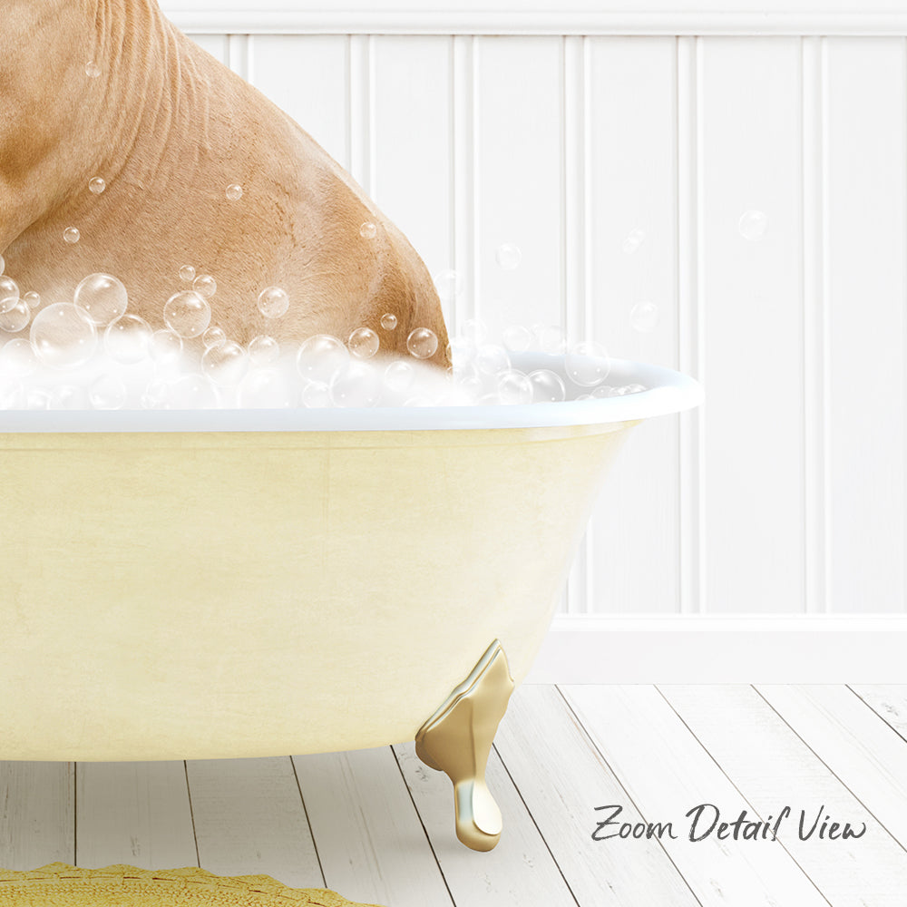 A dog is sitting in a bathtub filled with bubbles, enjoying a relaxing bath.