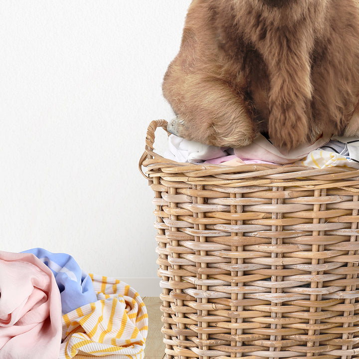 a teddy bear sitting on top of a wicker basket