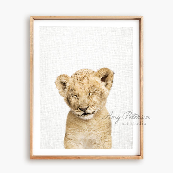 a framed picture of a baby lion cub