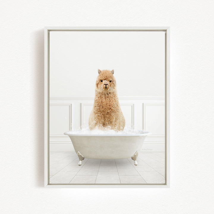 A fluffy brown dog sitting in a white bathtub filled with water, looking directly at the camera.