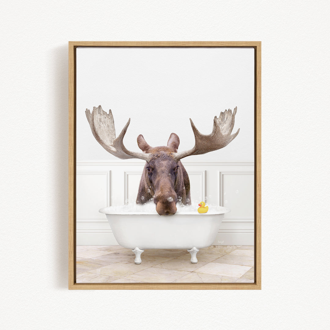 A moose with large antlers is sitting in a white bathtub, with a rubber duck floating in the water.