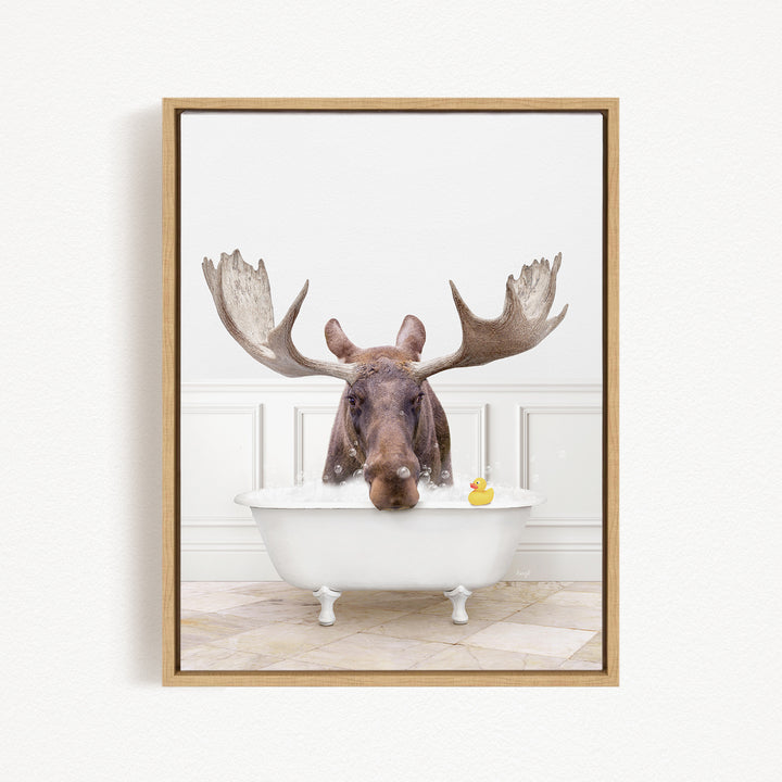 A moose with large antlers is sitting in a white bathtub, with a rubber duck floating in the water.