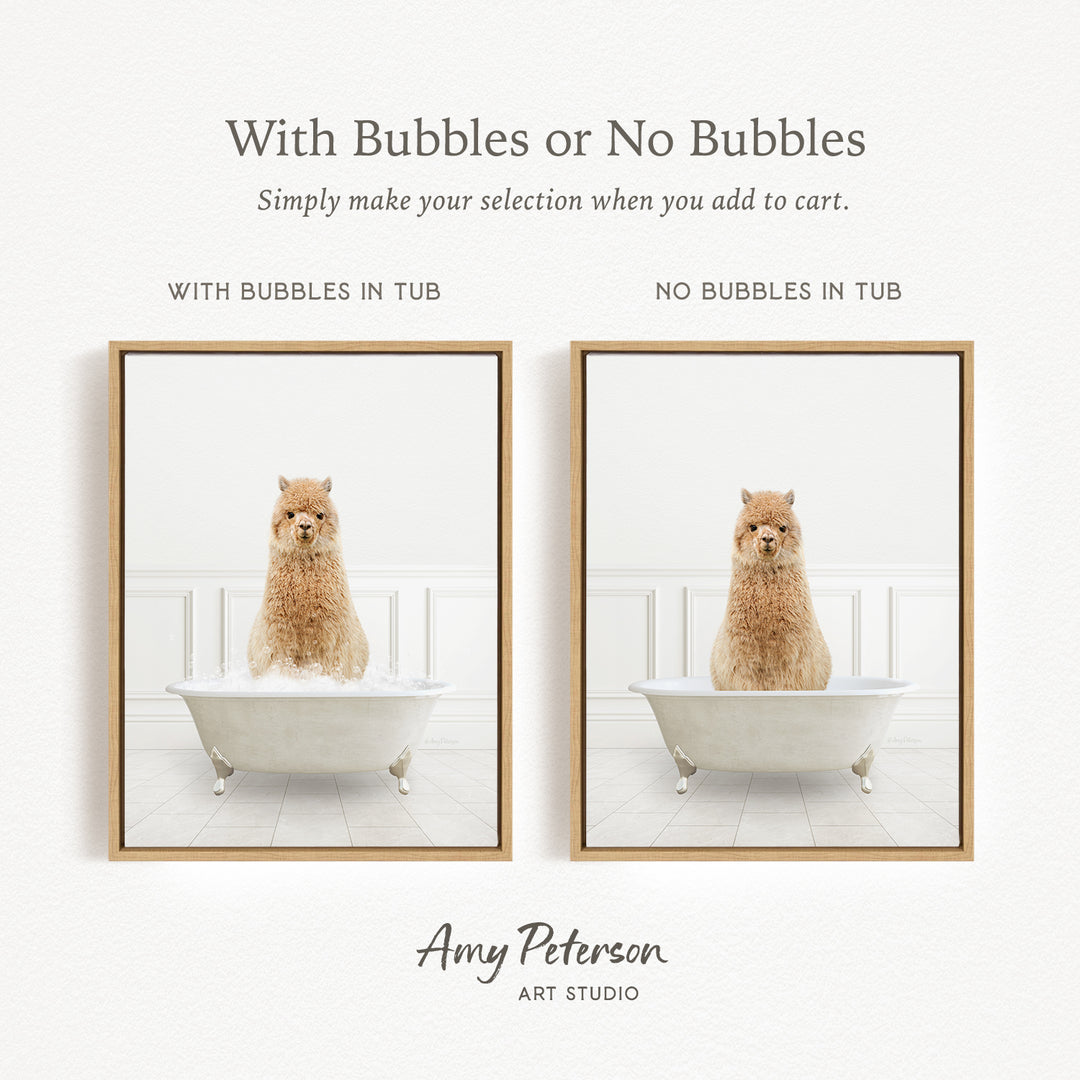 The image is a collage of two framed pictures, each featuring a small alpaca sitting in a bathtub. The alpaca is either sitting in a tub with bubbles or without bubbles, depending on the viewer's interpretation. The collage is presented by Amy Peterson from Art Studio.