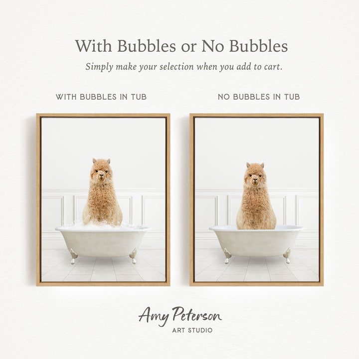 The image is a collage of two framed pictures, each featuring a small alpaca sitting in a bathtub. The alpaca is either sitting in a tub with bubbles or without bubbles, depending on the viewer's interpretation. The collage is presented by Amy Peterson from Art Studio.