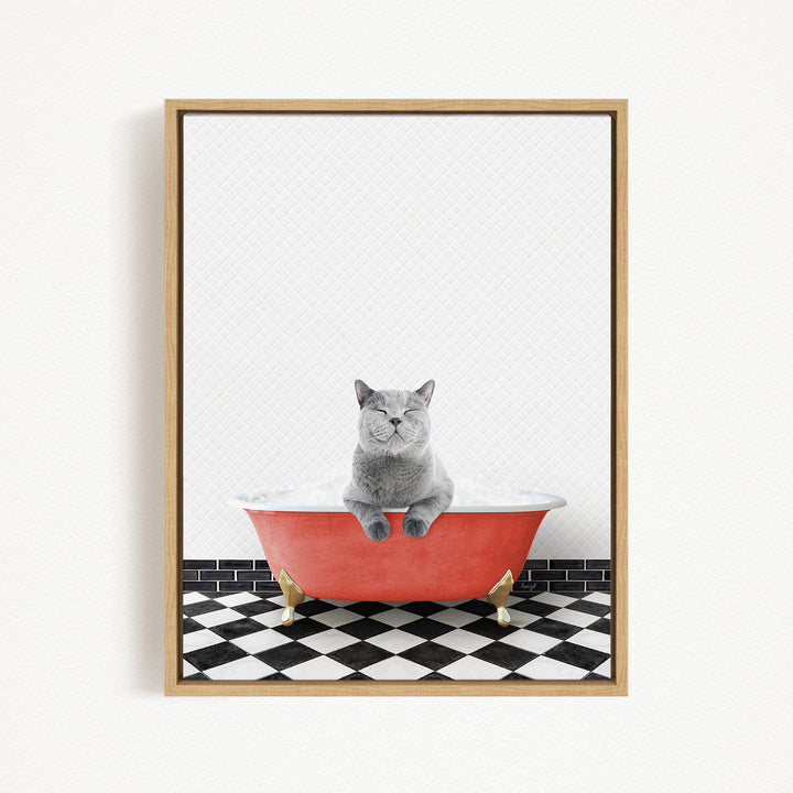 A gray cat sitting in a red bathtub filled with bubbles, with a black and white checkered floor in the background.