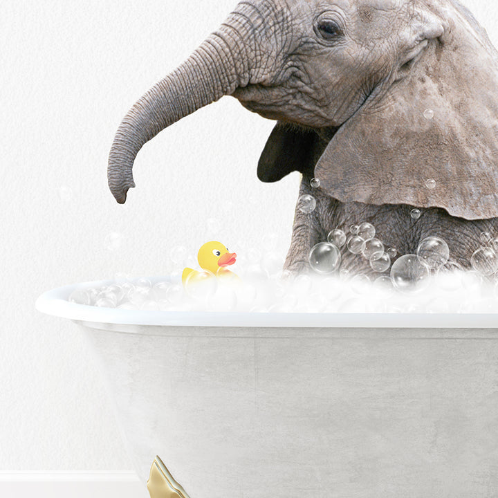 an elephant in a bathtub with a rubber duck