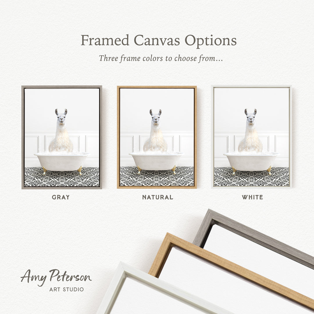 three framed canvas options, each featuring a white llama in a bathtub. The options include a gray frame, a natural frame, and a white frame.