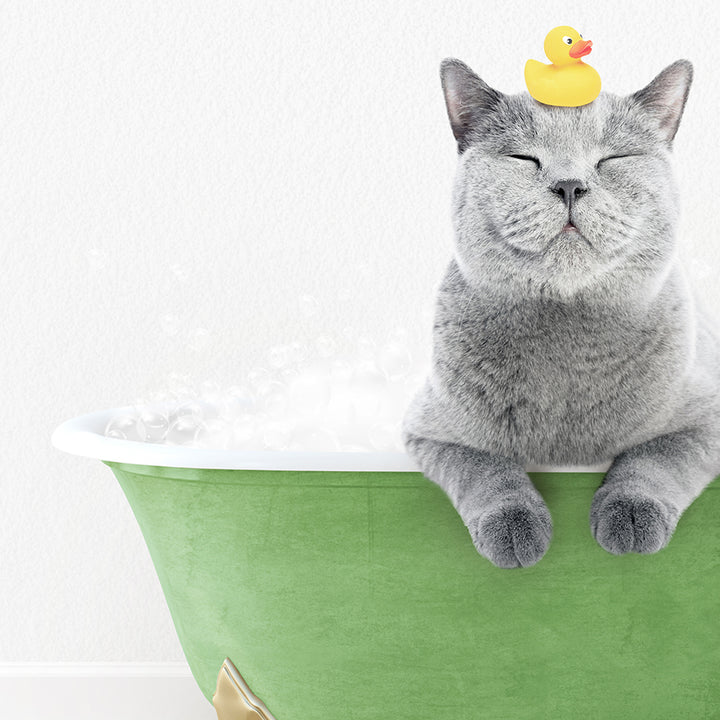 a cat with a rubber ducky on its head in a bathtub