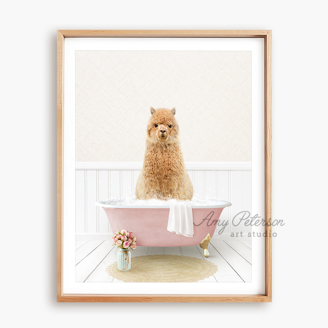 a brown dog sitting in a pink bath tub