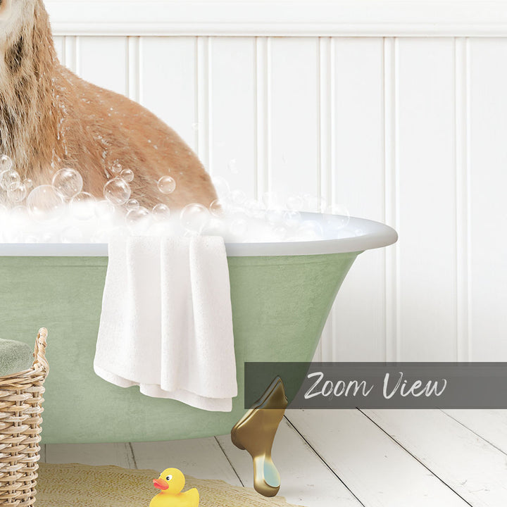 A cat is sitting in a green bathtub filled with bubbles, with a yellow rubber duck nearby.
