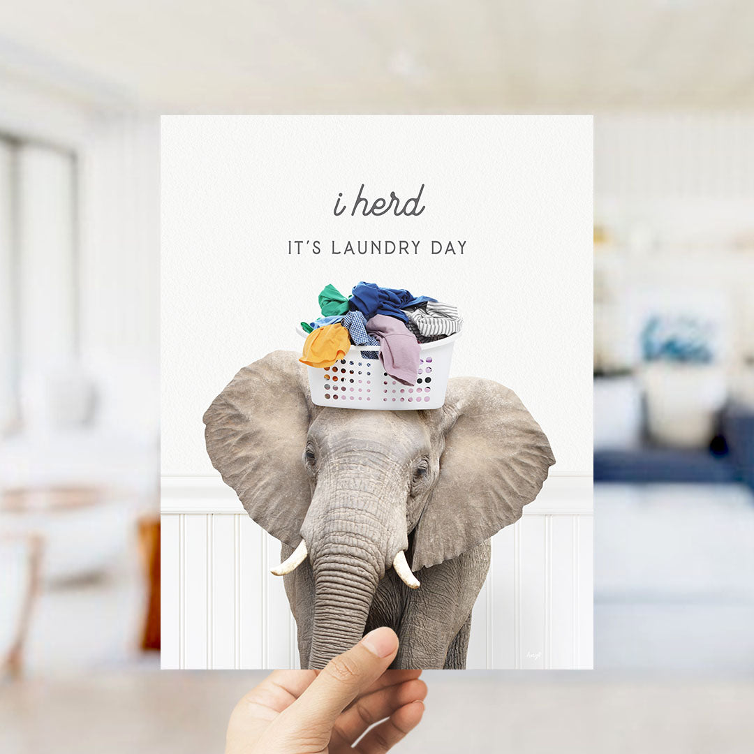 A hand holding a framed image of an elephant wearing a laundry basket on its head, with the text "It's laundry day" written above it.