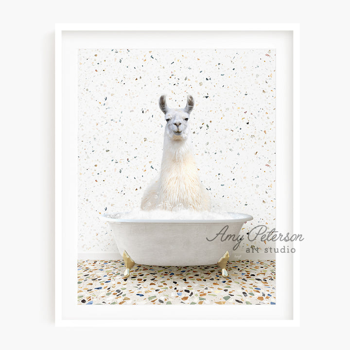 a llama in a bathtub with a white background