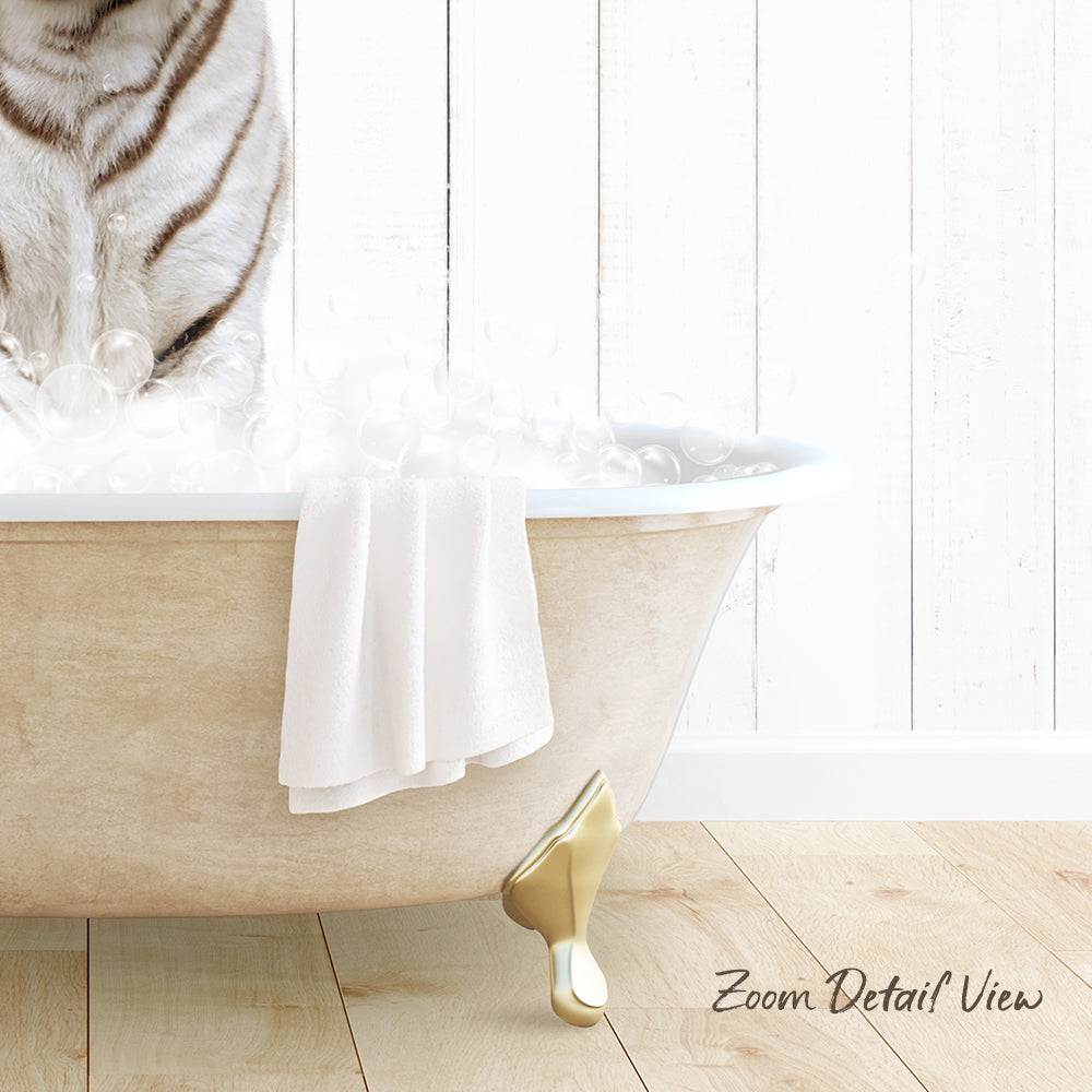 A white cat sitting in a bathtub filled with bubbles, with a towel draped over the side and a wooden floor visible in the background.