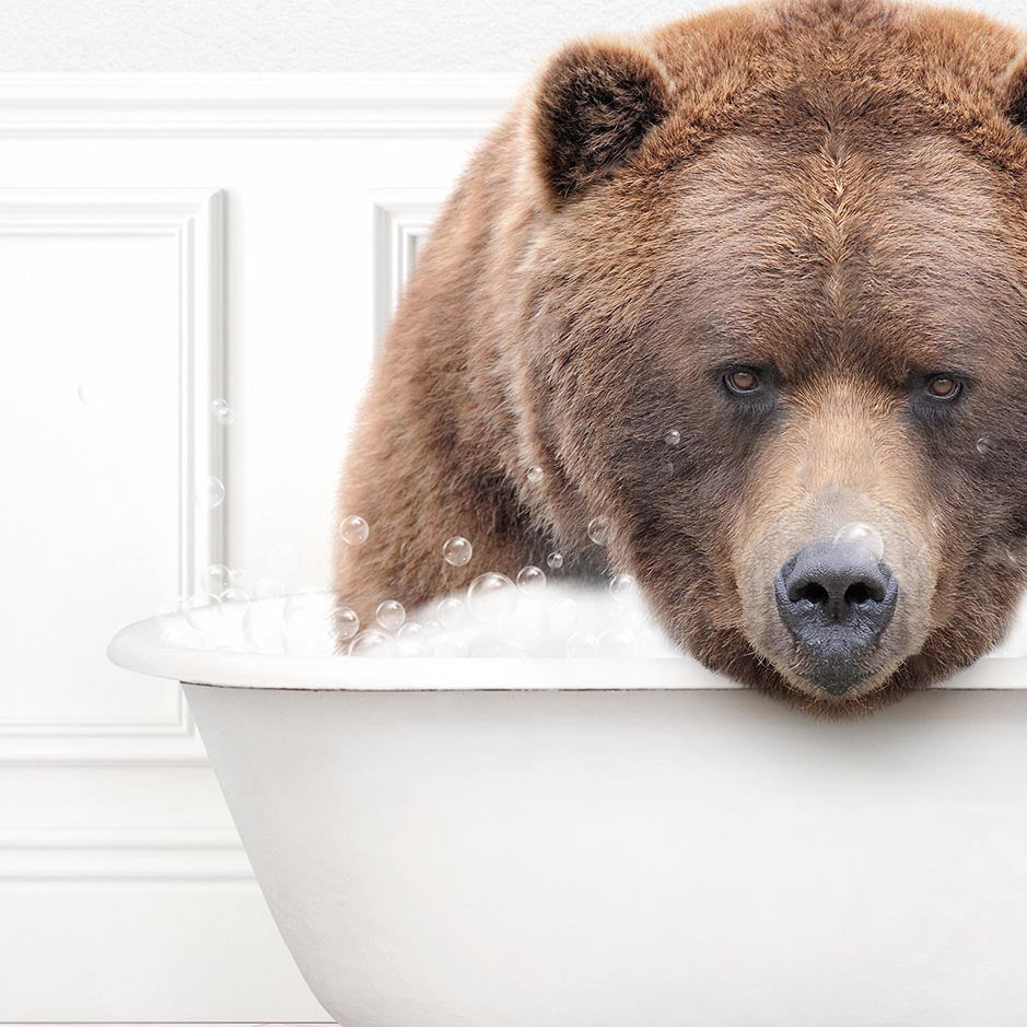 Big Bear in Modern Bath