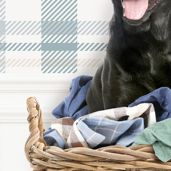 Black Lab in Laundry Basket - Assorted Wallpapers