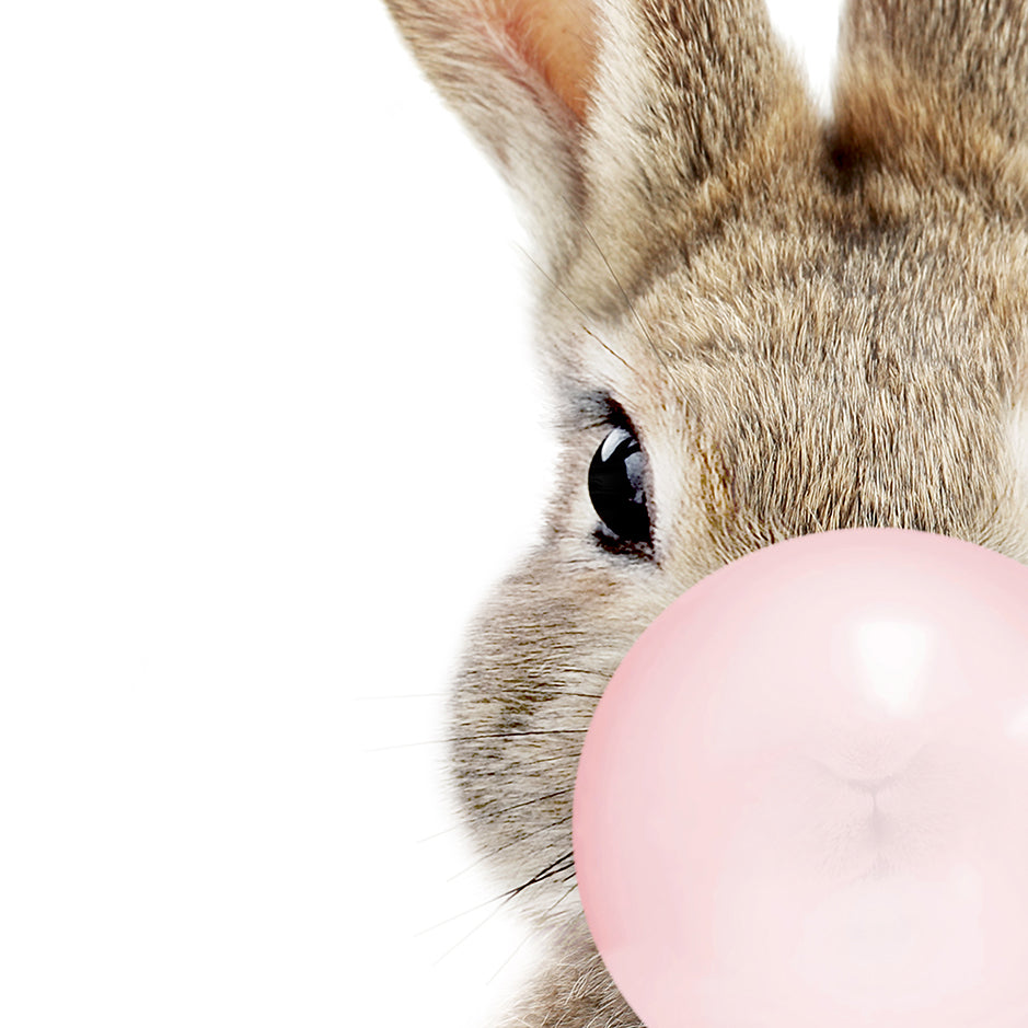 Baby Bunny Blowing Pink Bubble Gum